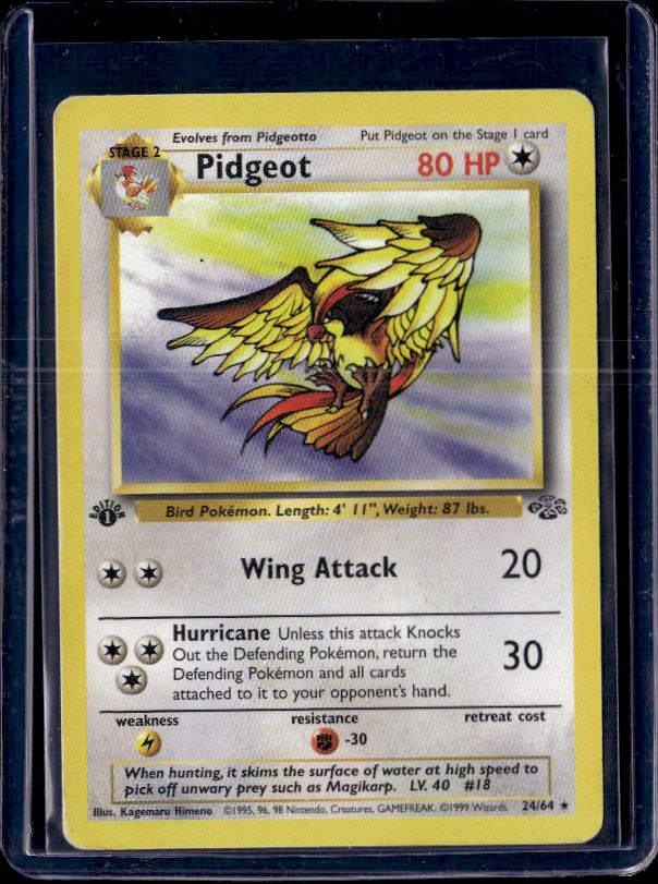 Jungle #24/64 Pidgeot (24)